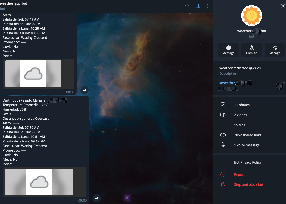 Custom Python Telegram bot for real-time notifications and mining rig monitoring